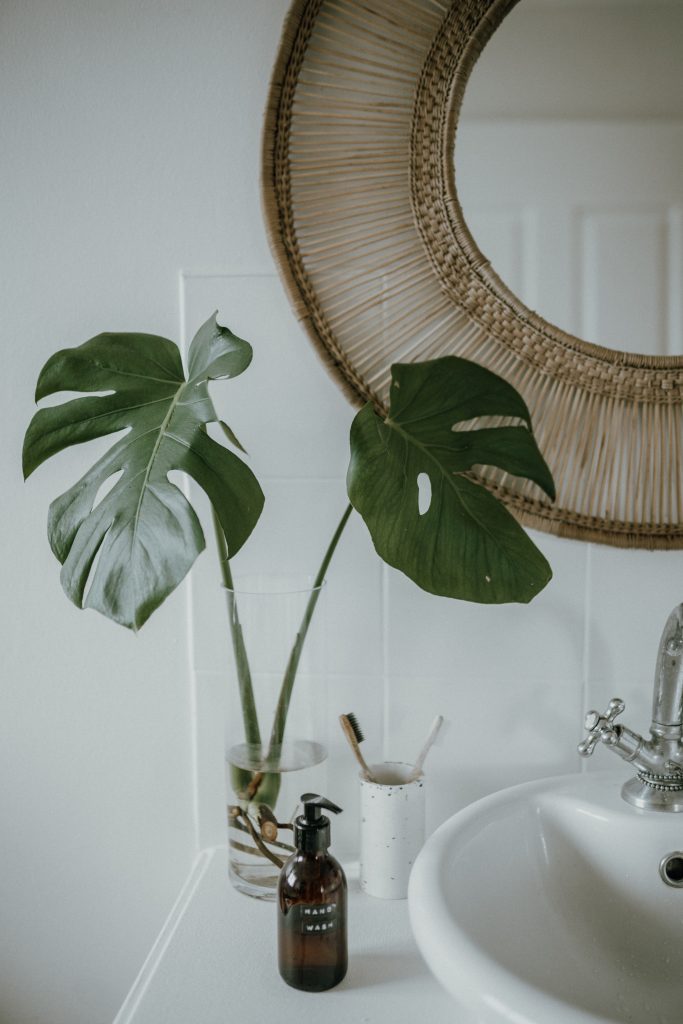 salle de bain
lavabo
gobelet brosses à dents
miroir